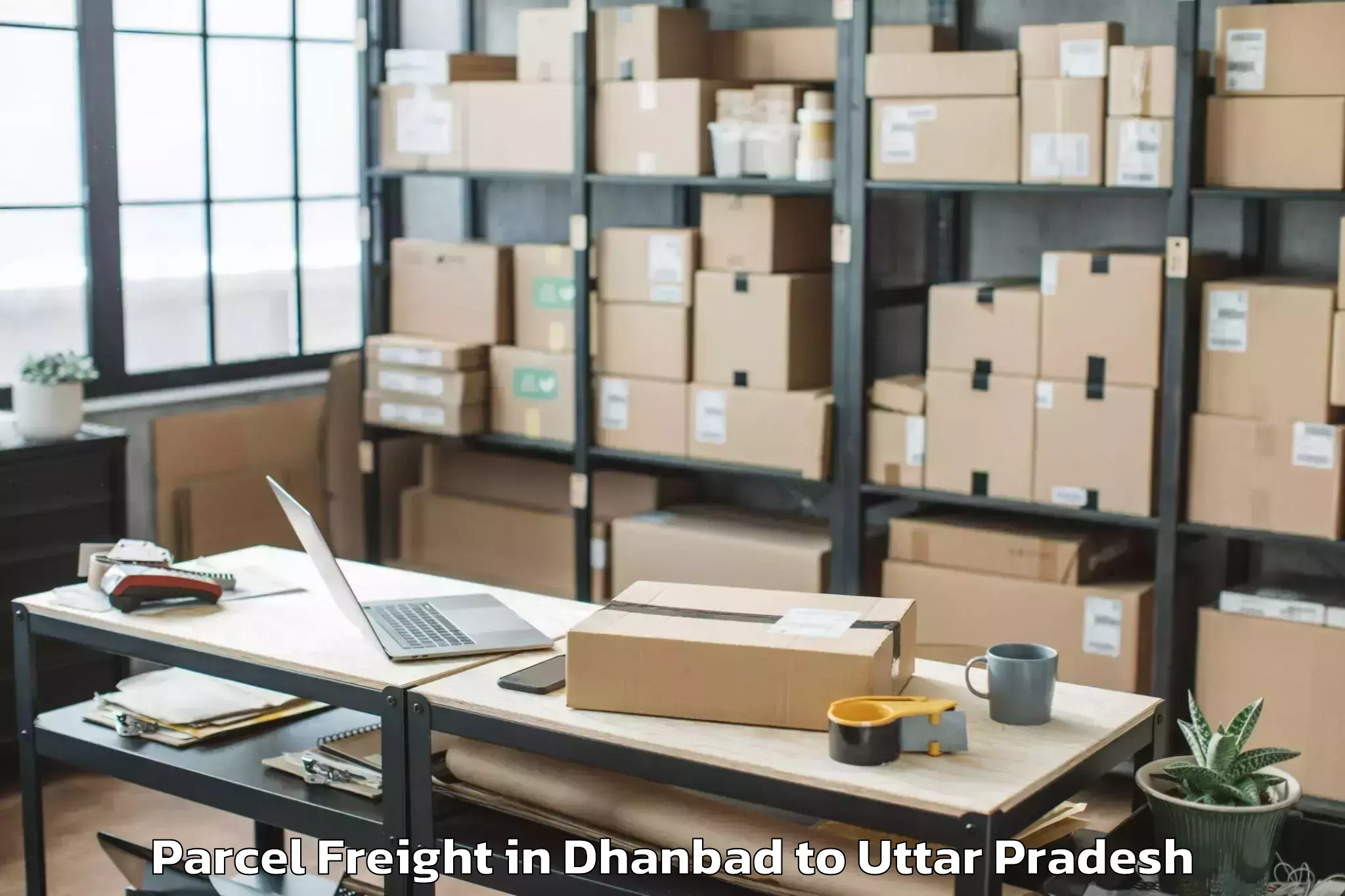 Leading Dhanbad to Ganj Dundwara Parcel Freight Provider